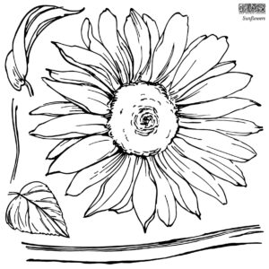 IOD stampila decorativa Sunflowers